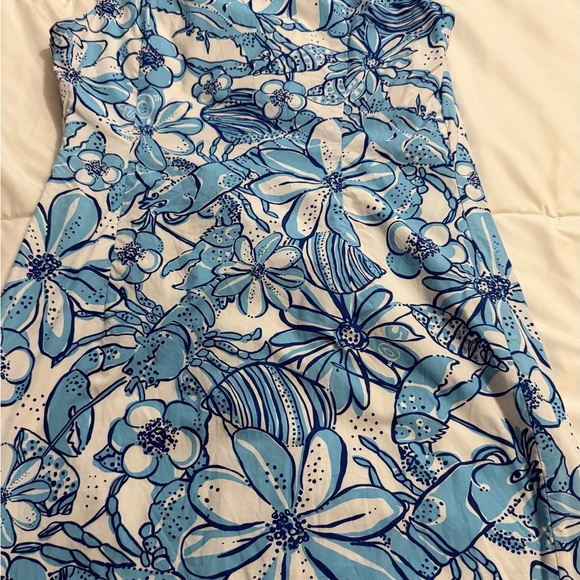 Lilly Pulitzer Jubilee Blue Floral Lace Trim Shift Dress - Picture 2 of 9